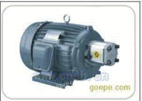 YTY100L1-4 YTY90L-4 油泵电机