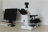 4XC-BW三目倒置显微镜