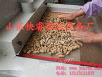 葵花籽西瓜子熟化烘干烤箱