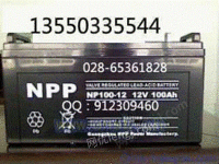 NPP电池NP12-100