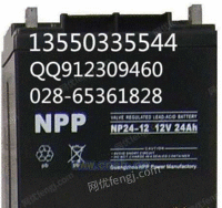 NPP电池NP12-24