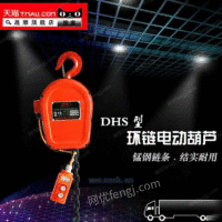 DHS电动葫芦慢速葫芦1吨2T3