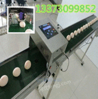 浙江衢州鸡蛋喷码机厂家科力普