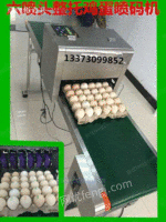 宜都利川鸡蛋喷码机厂家科力普科技