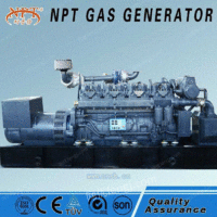 30kw沼气发电机组的一级保养