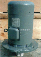 立式低速电机