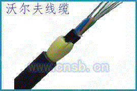 ADSS-12B1-800ֶ