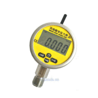 LORa无线数字压力表(电池型)