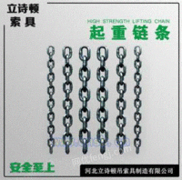 厂家推荐起重链条锁具|铁链吊