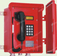程控调度扩音电话CHY-9DK