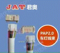 PAP2.0 5P双闪灯连接线