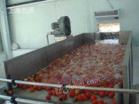 供应水果蔬菜浮洗机