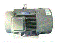 YEB系列油泵专用三相异步电动机