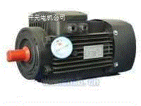 ADL系列冲压泵专用三相异步电动
