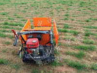 厂家销售履带运输车 手扶小型运输