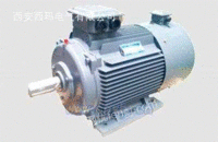 供应西安西玛电气YVFE2系列变