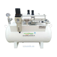 气体增压泵SY-219产品展示