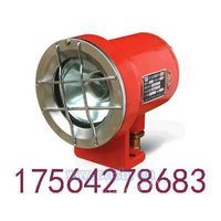 DGY18/48L矿用隔爆型机灯