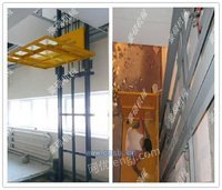 双跨导轨式升降机厂房导轨式升降机