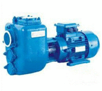 ASP-50-120自吸污水泵