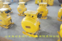 东源牌矿用隔爆型可逆真空电磁起动