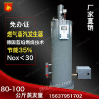 0.1型燃气蒸汽锅炉蒸汽发生器