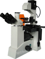 出售荧光显微镜