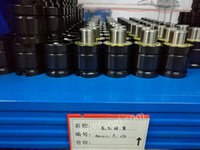 BKC10-080-198氮气弹簧进口氮气压簧