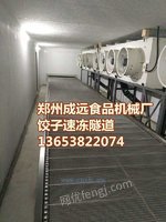 平板饺子生产速冻隧道生产线