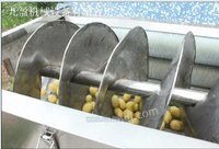 大型芋头土豆清洗毛刷机商用洗菜机