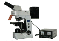 出售荧光显微镜 MF41