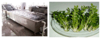 出售绿色蔬菜果蔬清洗机 小白菜气泡去泥清洗机 多功能清洗设备