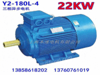 上海本速电机_信誉好的Y2-18
