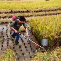 供应四冲程汽油水稻收割机