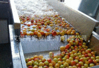 苹果汁生产线设备