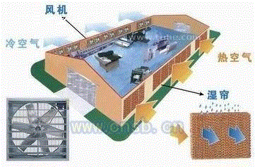 湿帘风机设备价格