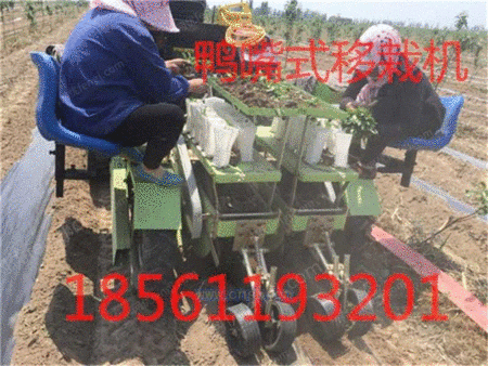 product-164158-1437114007_ht.jpg!300small