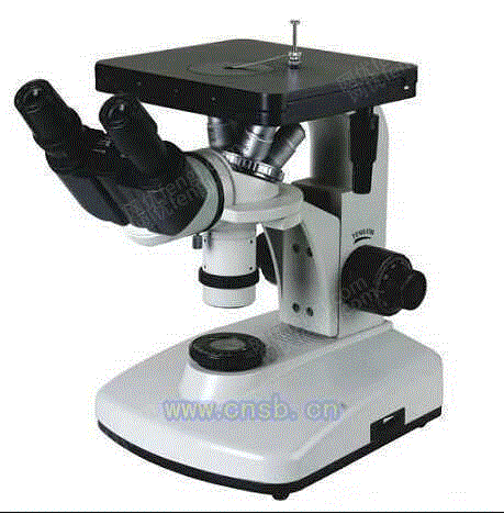 显微镜价格