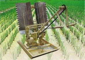 水稻栽植机械出售