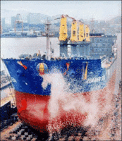 53800吨双壳散货船