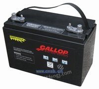 D6-230AH，D12-130AHGallop免维护电池