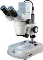 DM143-N2GG-C  数码体视显微镜