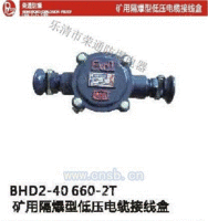 BHD2-40/660系列矿用防爆接线盒