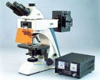 BK-FL2双目荧光显微镜