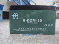 48V10AH蓄电池