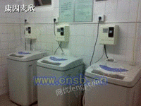XQB55-365SP投币洗衣机