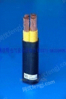 FF-200FF-200氟塑料高温电缆