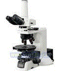NIKON 偏光显微镜