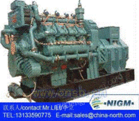 中国MWM箱式电站，生产，销售