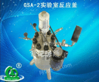 GSA-2实验室反应釜